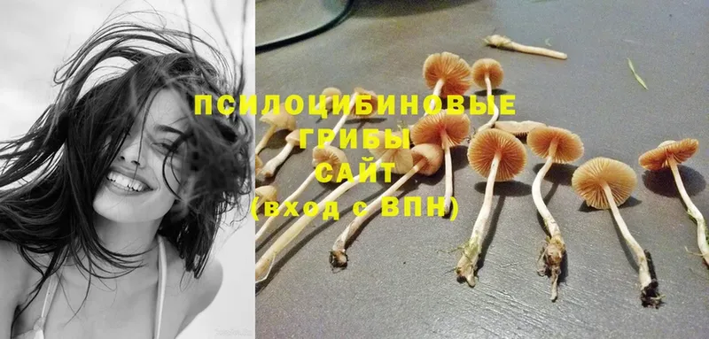 Псилоцибиновые грибы Magic Shrooms  что такое   omg ССЫЛКА  Поронайск 